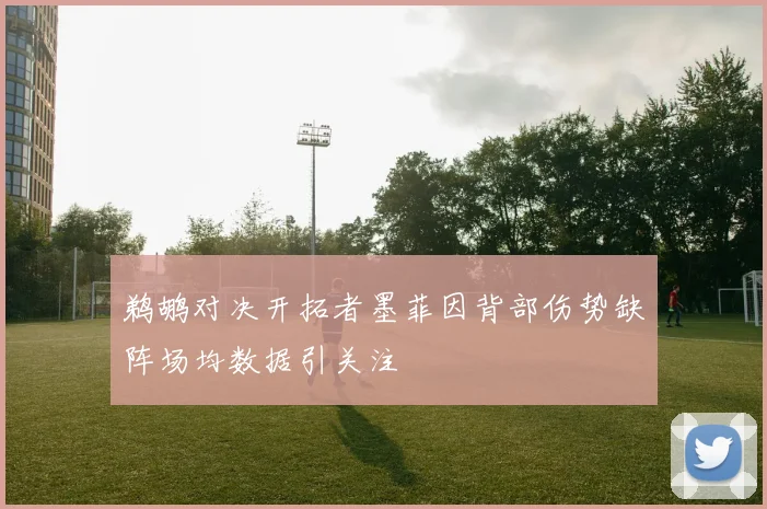 鹈鹕对决开拓者墨菲因背部伤势缺阵场均数据引关注